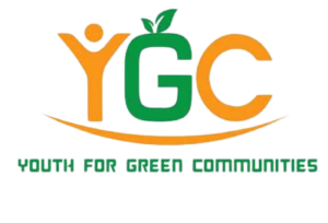 YCG logo